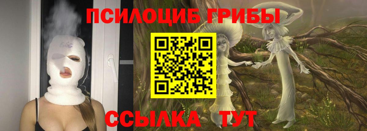 Галлюциногенные грибы мухоморы  Вход с VPN  Галлюциногенные грибы Cubensis  Мытищи 